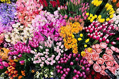 《致命预感》总监发问：开发者凭什么免费更新游戏？