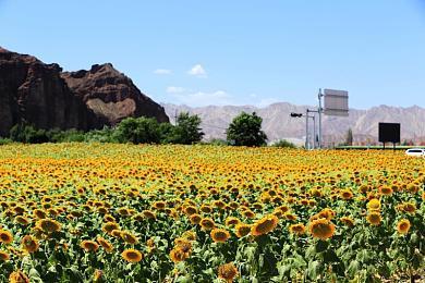 《尘白禁区》恩雅澜风角色PV：用爱净化 满足少女欲望